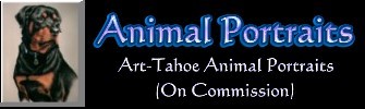 Animal Portraits