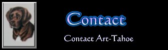 Contact Buttom