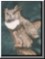 gallery page